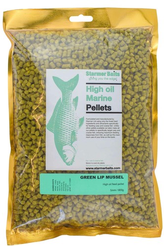 Green lip mussel - , marine