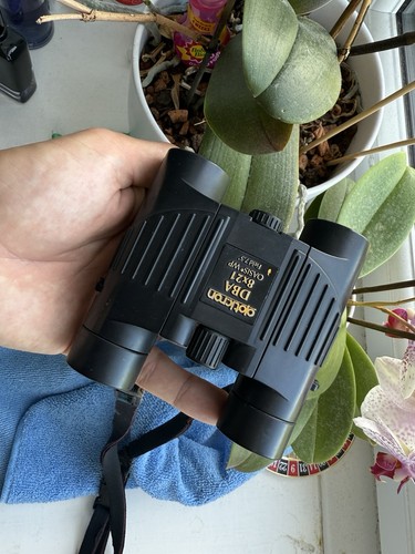 Opticron dba series 8x21 - dba,