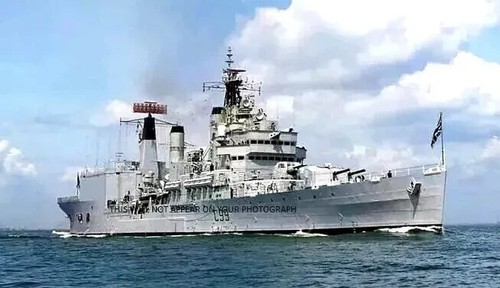 Royal navy tiger - navy,
