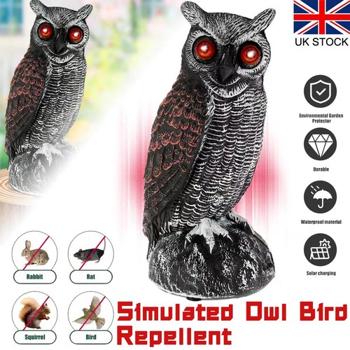 Solar garden owls scare - solar, to