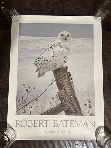 Vintage 1982 robert bateman - vintage,