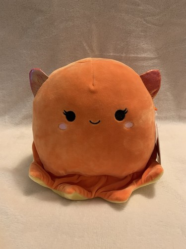Norbu dumbo octopus - norbu,