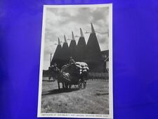 Oasthouses at Whitbread's Hop Gardens, Paddock Wood, Kent, RP