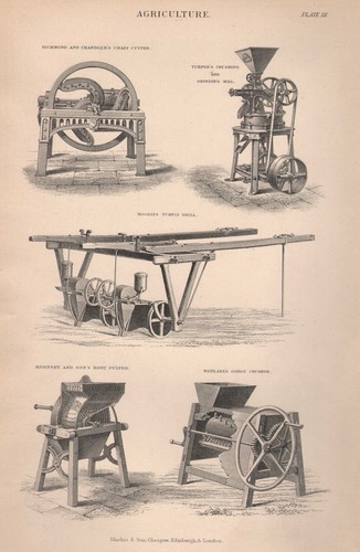 1874 print agriculture - print,