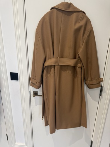 All saints wilma - wilma, camel