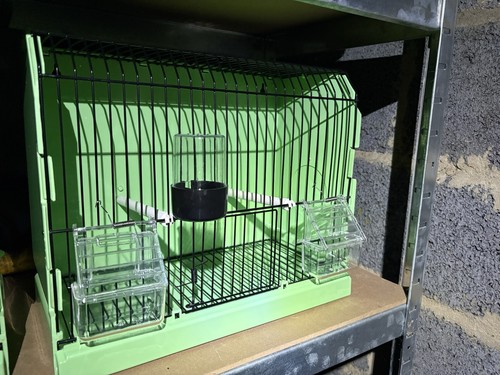 Plastic show bird cages - show,