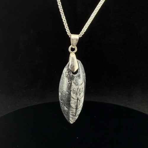 500 million year pendant - 500,