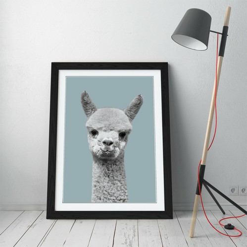 Alpaca duck egg - duck, blue