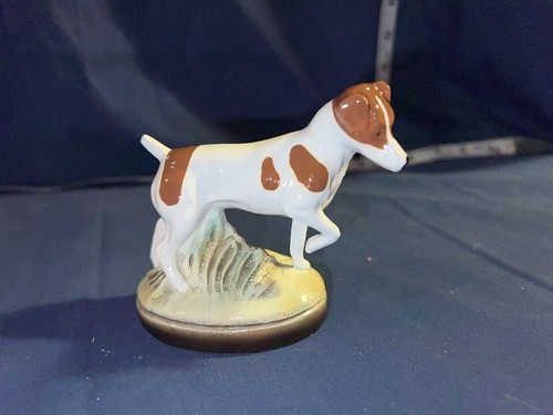 Jack russell terrier bottle - jack,