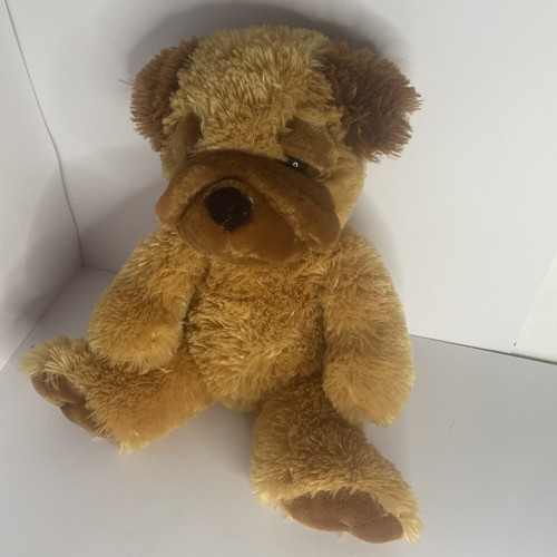 Asda douglas dog puppy - douglas,