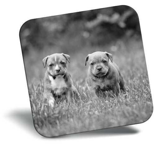 Awesome fridge magnet - fridge, bw