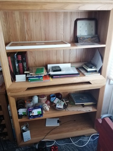 Bookcase from oak furniture - bookcase,
