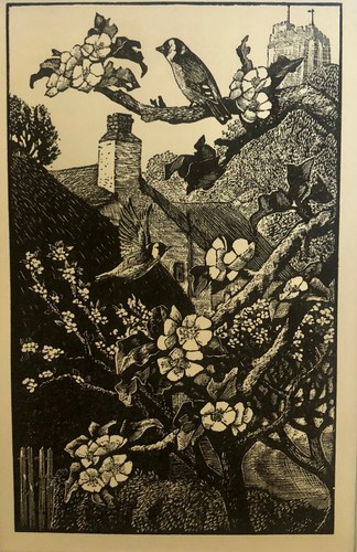 Vintage wood engraving print - ,