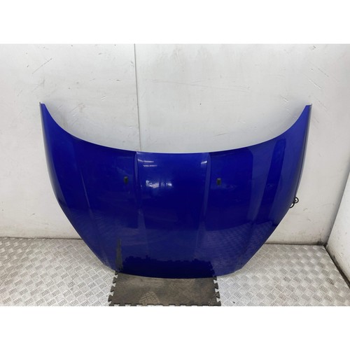 Ford fiesta bonnet - fiesta, panel