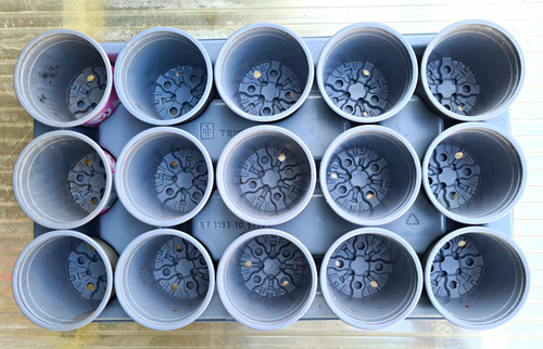 10cm plant pots - x, with