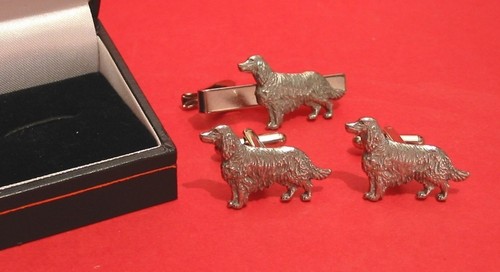 Irish setter dog - dog, design