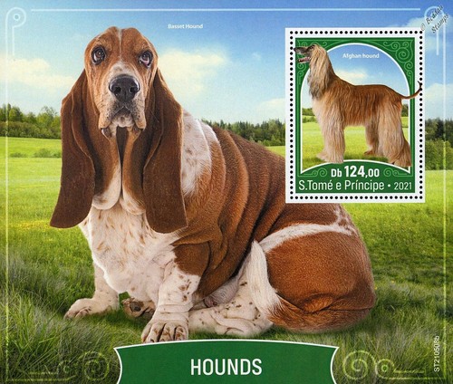 Dogs hounds afghan - dogs,
