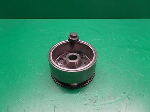 Freewheel gear wheel - freewheel, hub