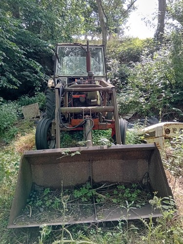 David brown 996 - david, tractor