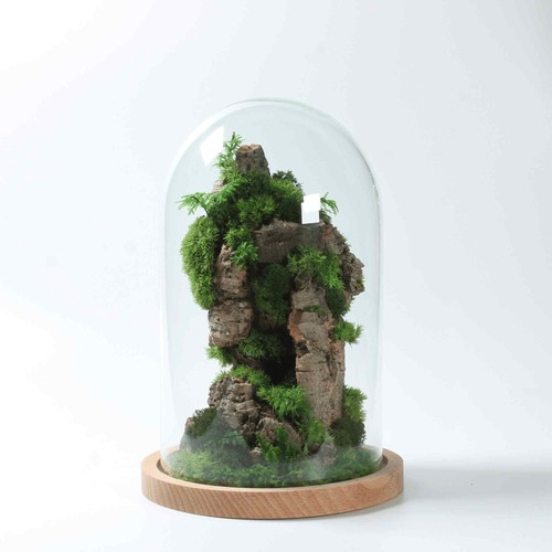 Large handmade terrarium with - large,