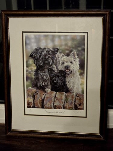 Limited edition framed print - edition,