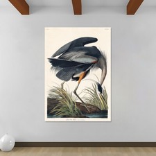 Great Blue Heron by John James