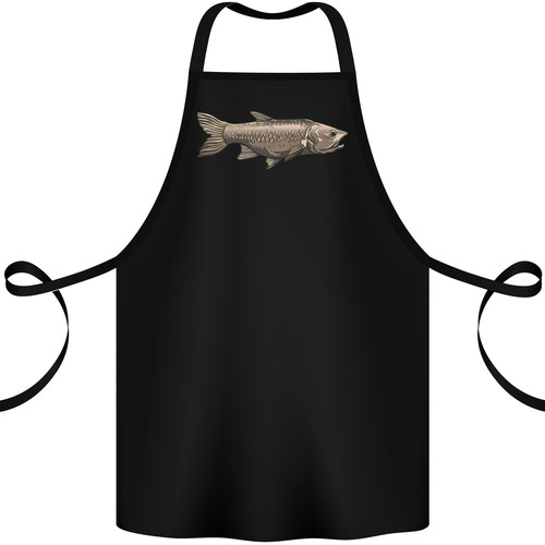 Bolan fish fishing fisherman - bolan,