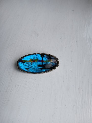 Vintage butterfly wing brooch - butterfly,