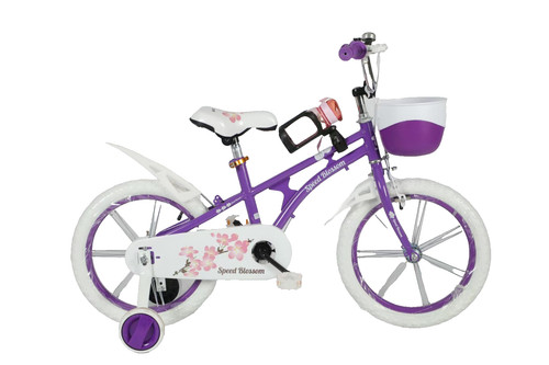Inch sport purple speed - 16,