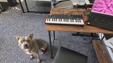 AKAI Professional MPK Mini