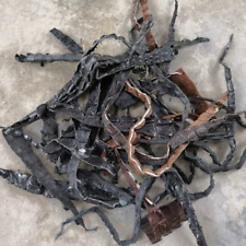 500g Real Crocodile Bone