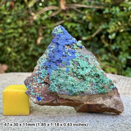 Azurite crystal specimen deep - azurite,