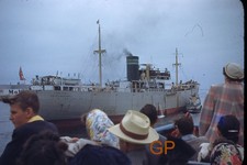 XX113-m Old 35mm Slide Photo-