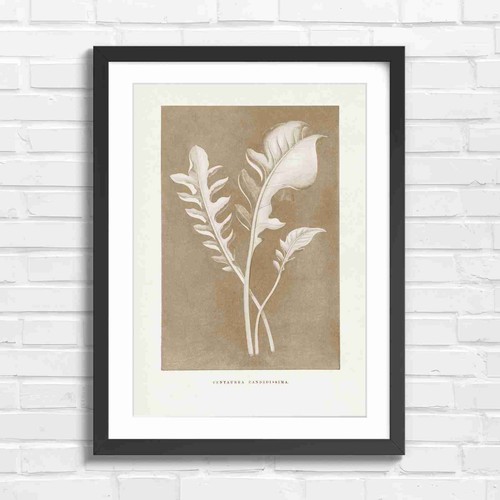 Botanical vintage green - botanical,