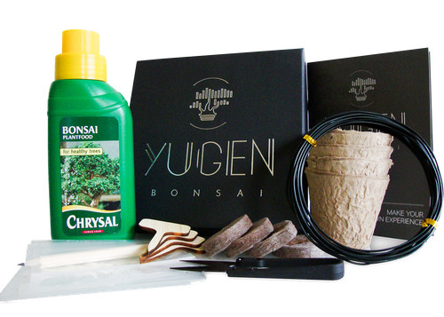 Essential bonsai growing kit - growing,