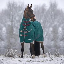 Shires Tempest Original 200g Turnout Rug and Neck Set - Green