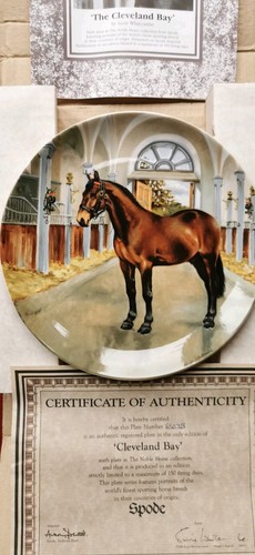 Spode noble horse - spode, collection