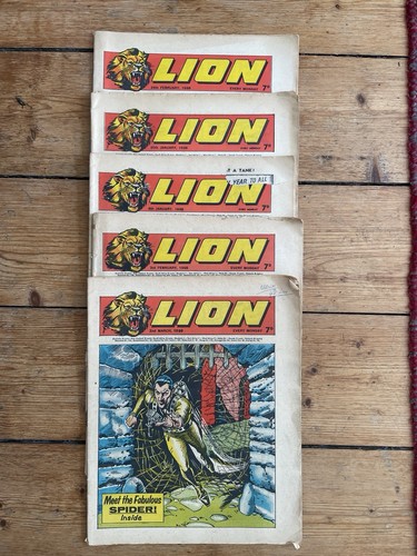 Lion and - lion,,