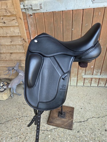 Fairfax gareth dressage - gareth,
