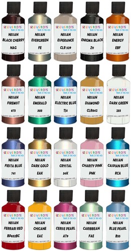 Nissan qashqai paint - paint, touch