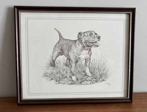 Staffordshire bull terrier - staffordshire,