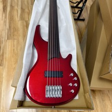 6 String Fretless Electric