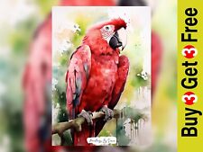 Vibrant Scarlet Macaw 5"x7"