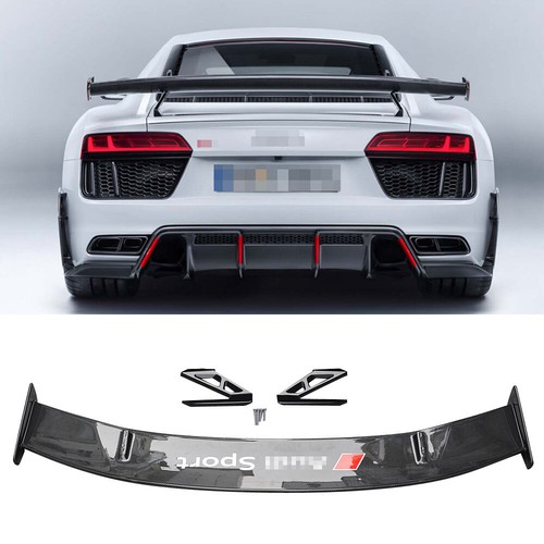 Dry carbon fiber - dry, rear