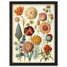 Vintage Botanical Illustration