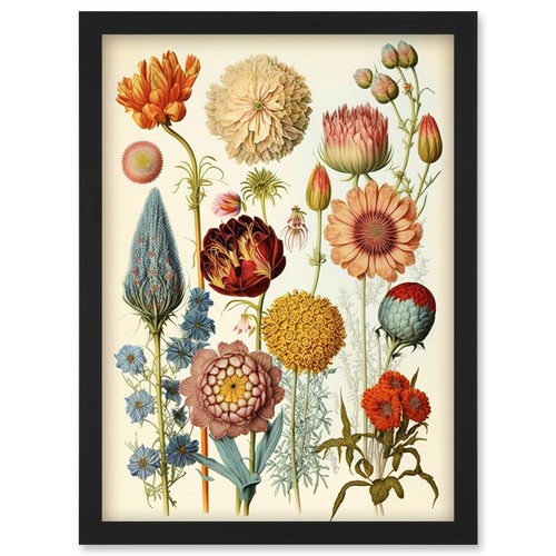 Vintage botanical illustration - botanical,