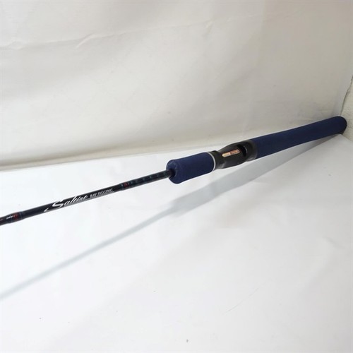 Daiwa saltist bay - bay, jigging