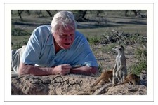 Sir david attenborough signed - sir,