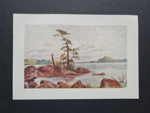 Antique 1907 print muskoka - -,