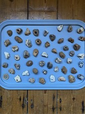 50x hag stone - 50x,